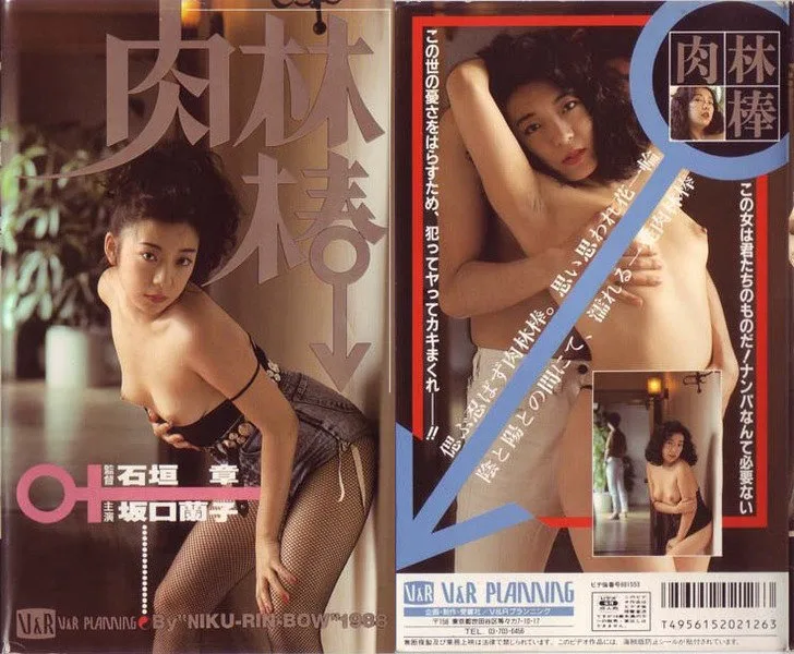 [VR-126] 內庫林酒吧，山口蘭子 - R18